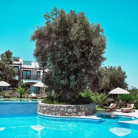 Boutique 3* יאליקאבאק