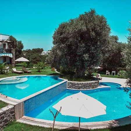 Boutique יאליקאבאק