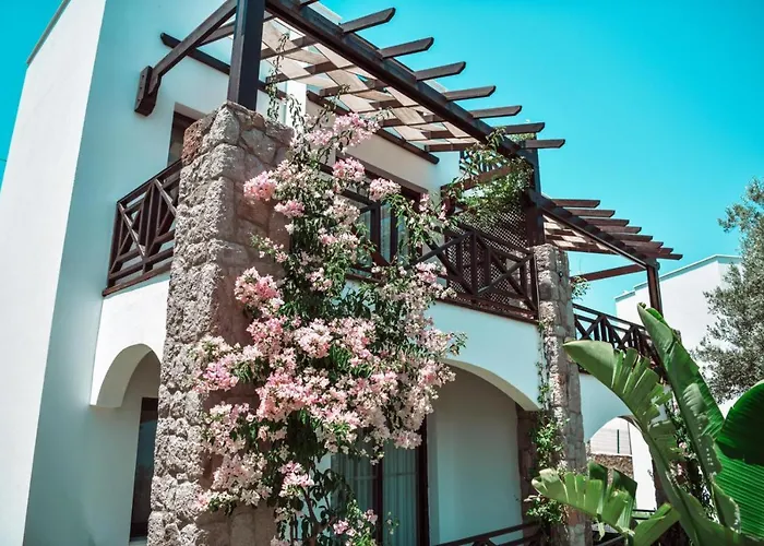 Boutique 호텔 얄리카베크