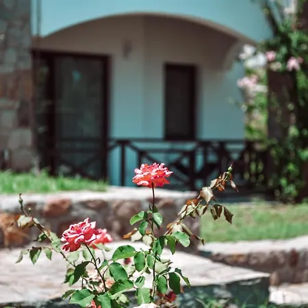 Boutique Ξενοδοχείο 3*