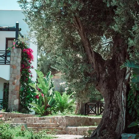 Boutique Ξενοδοχείο 3*